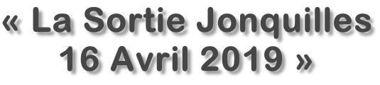 « La Sortie Jonquilles 16 Avril 2019 »